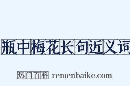 瓶中梅花长句近义词是什么意思的图片